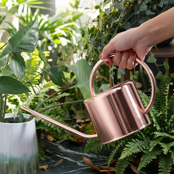Decorative Copper Watering Can