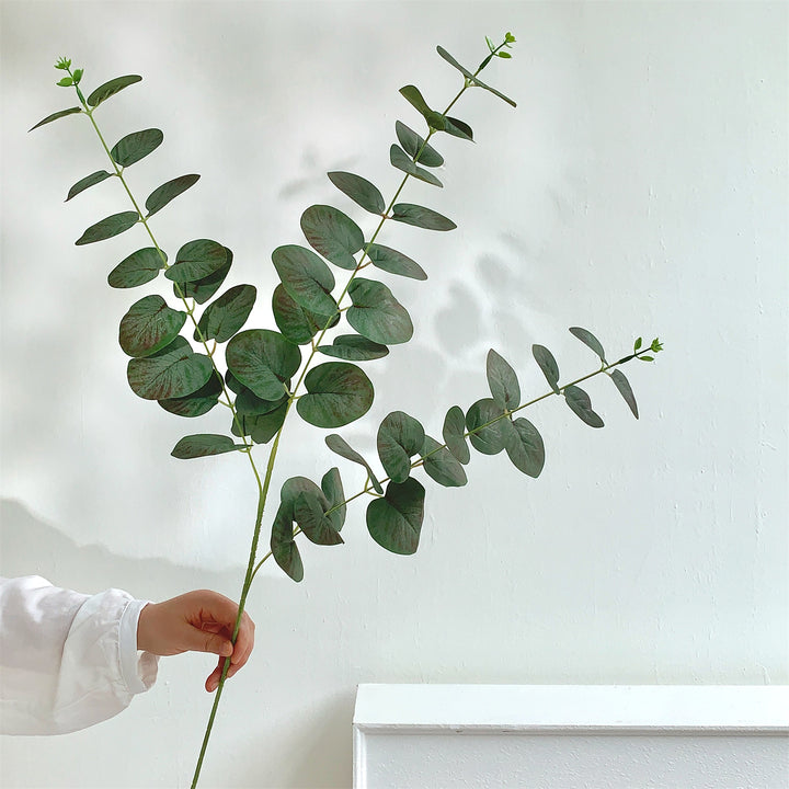 Decorative Eucalyptus Stem