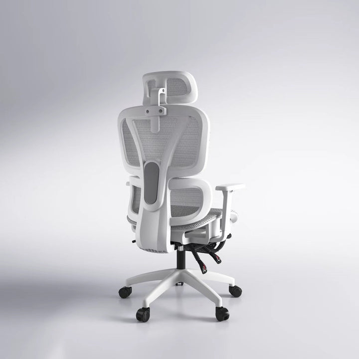 Ergonomic Office Chair Kalsten
