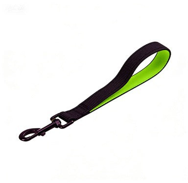 Durable Nylon Dog Leash