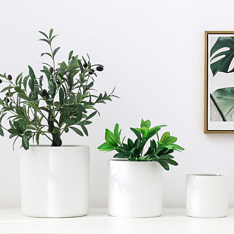 Elegant Ceramic Plant Pot for Interior Decoration