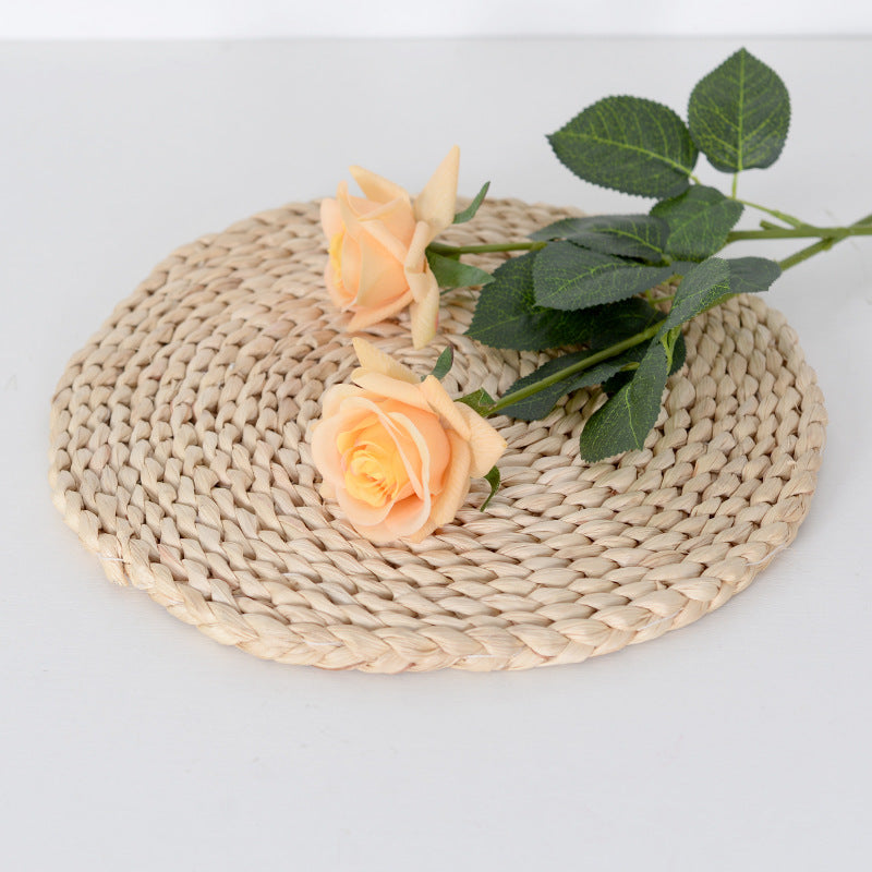 Decorative Realistic Rose Stems