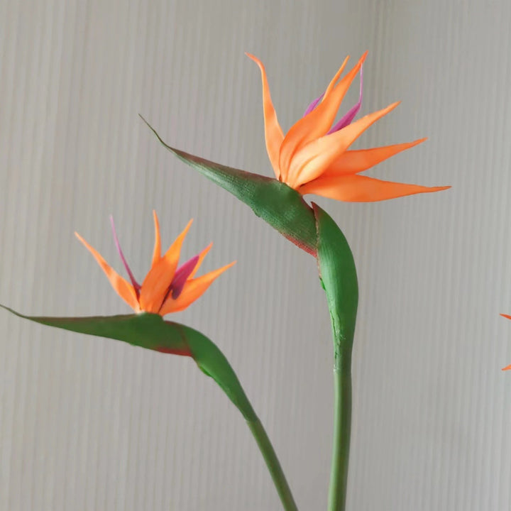 Decorative Bird of Paradise Stem