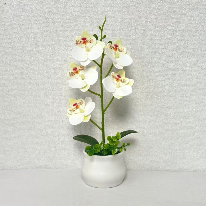 Artificial Orchid Plant Arrangement 1790480695 for Home Decor and Display