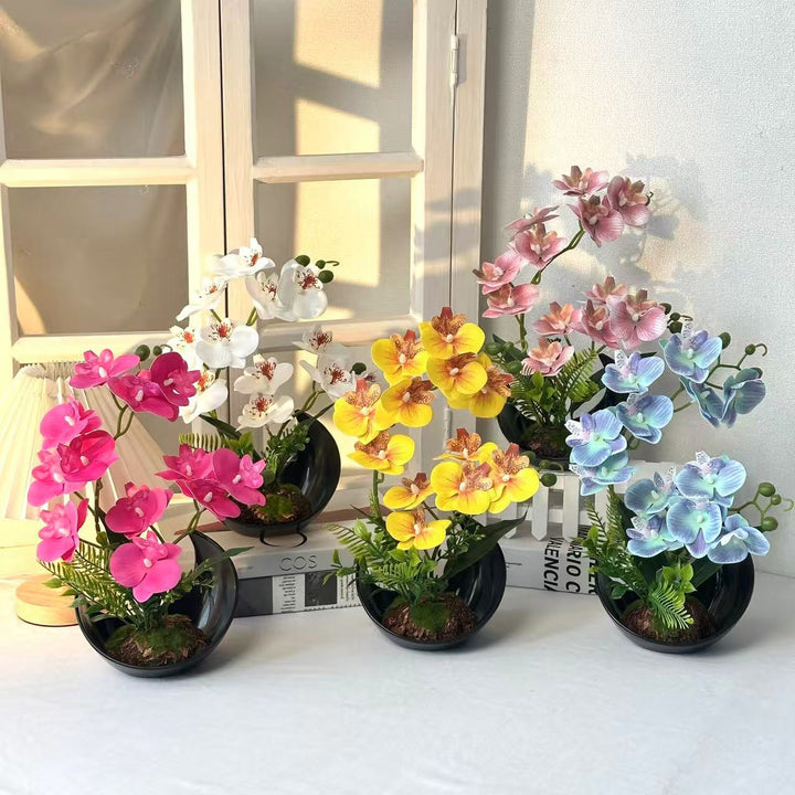 Lifelike Orchid Flower Display