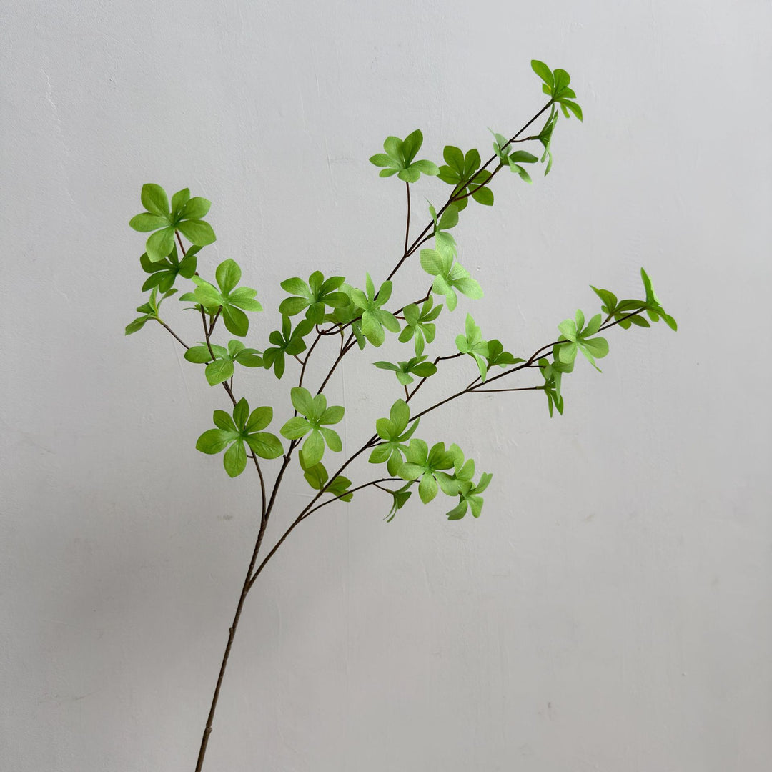Elegant Decorative Plant