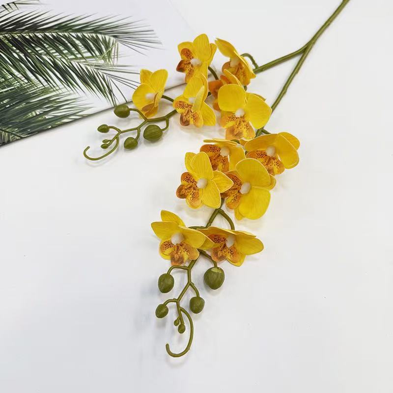 Realistic Orchid Flower Stem