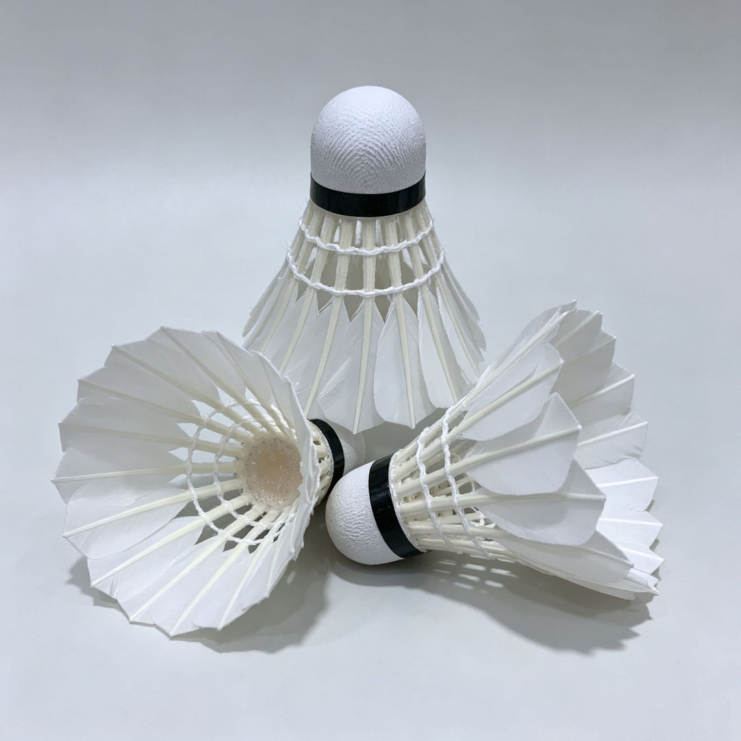 Badminton set Kalsten