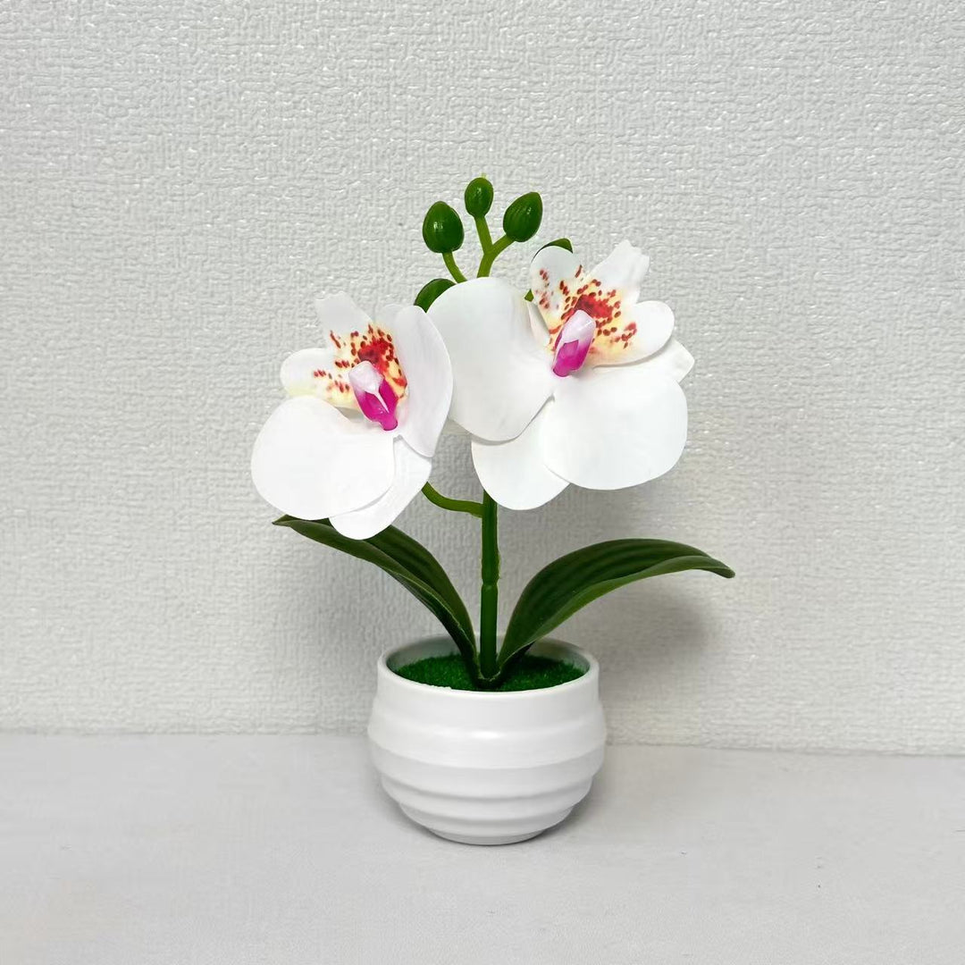 Realistic Artificial Orchid Plant Arrangement for Home Display