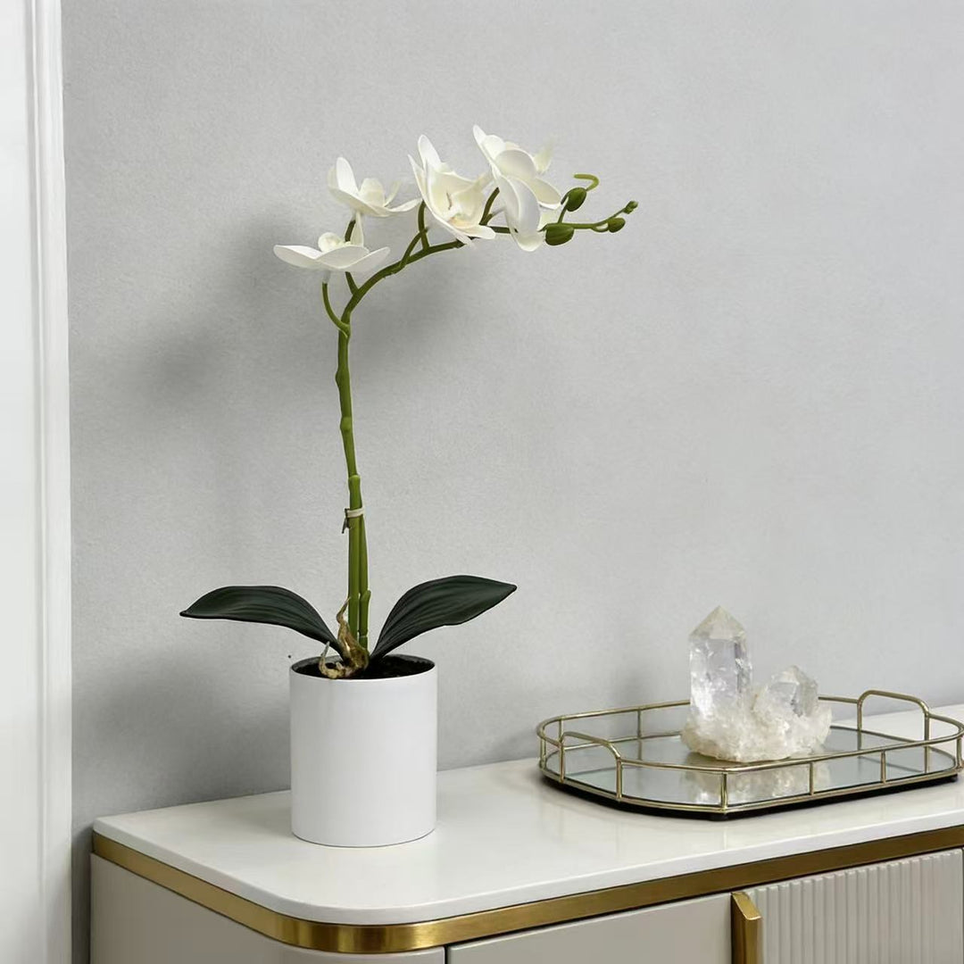 Realistic Artificial Orchid Stem