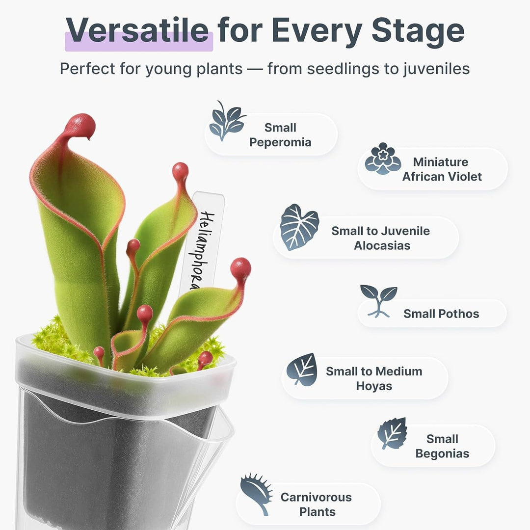 Self-Watering Seed Starter Pot System Kalsten