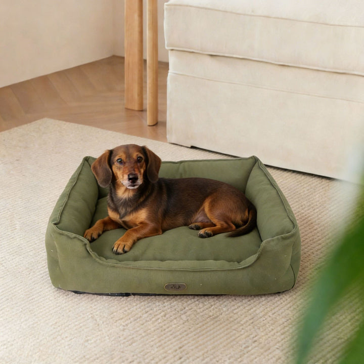 Premium Outdoor dog bed