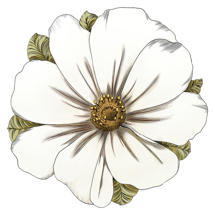 Floral-Shaped Area Rug Kalsten