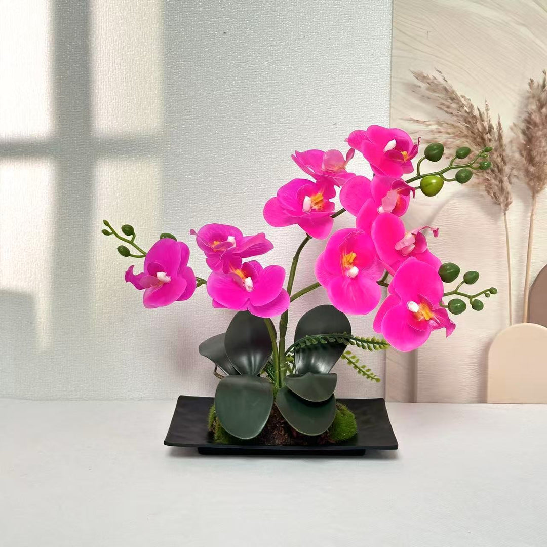 Orchid Flower Arrangement