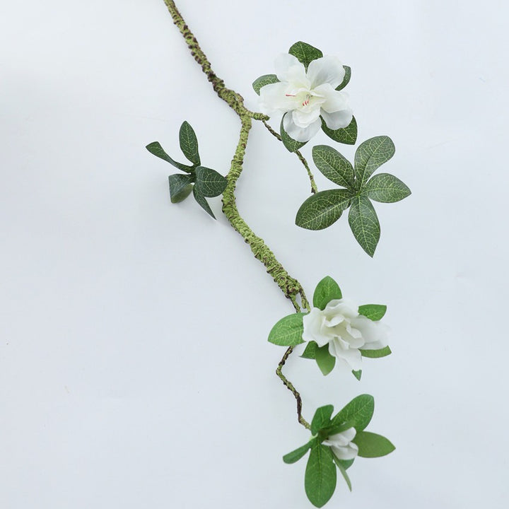Deko Vase Kalsten