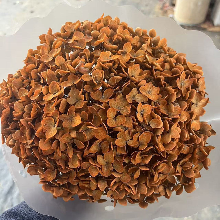 Dried Floral Petals