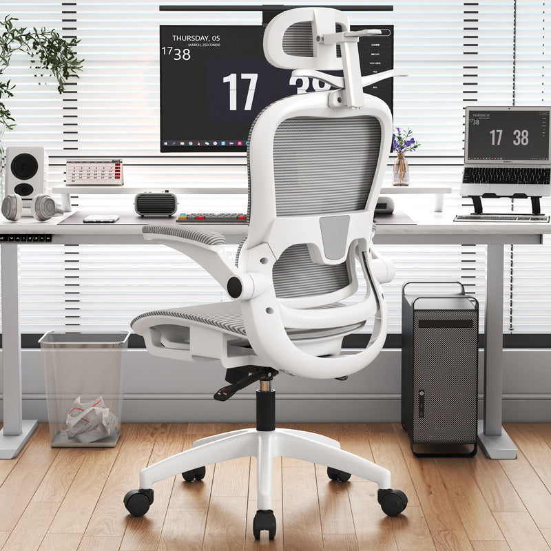 Adjustable Lumbar Support Office Chair Kalsten