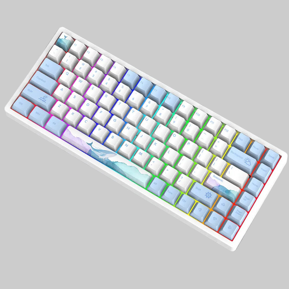 Wireless Gaming Mechanical Keyboard Kalsten