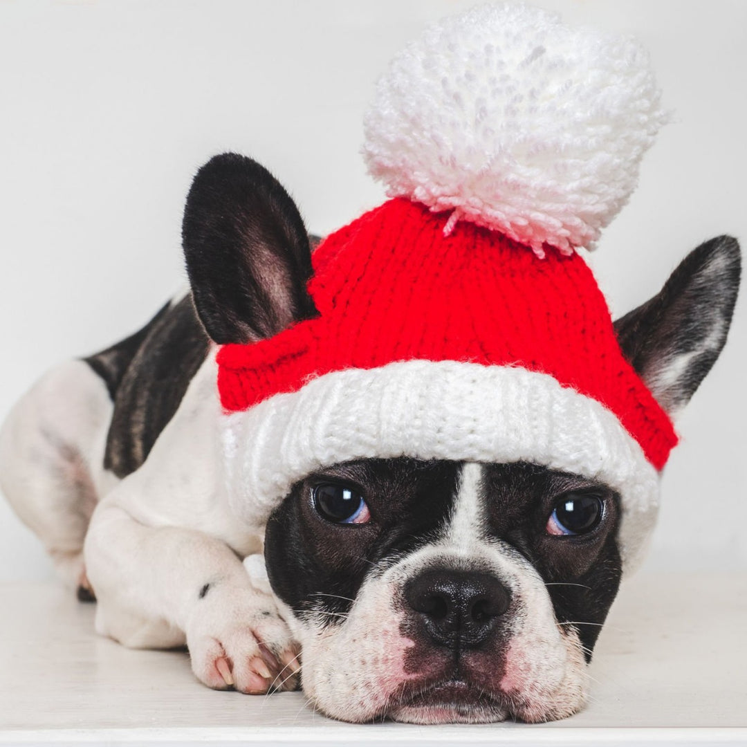 Funny Christmas hat for pets