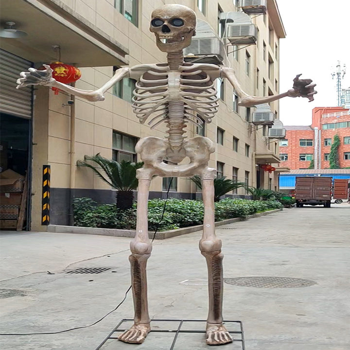 Life-Size Anatomical Skeleton Prop Kalsten