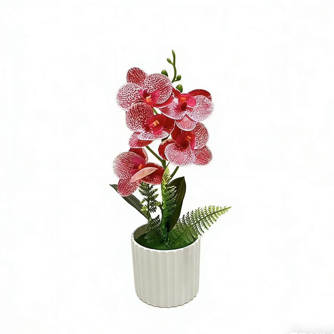 Decorative Orchid Plant Arrangement 1790480742 for Decor