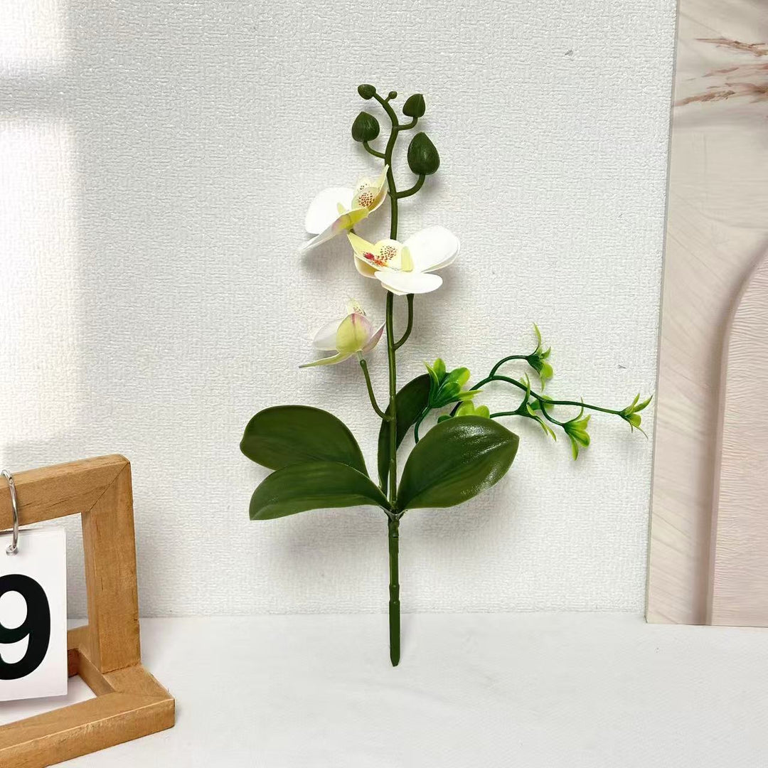 Elegant Orchids Floral Arrangement