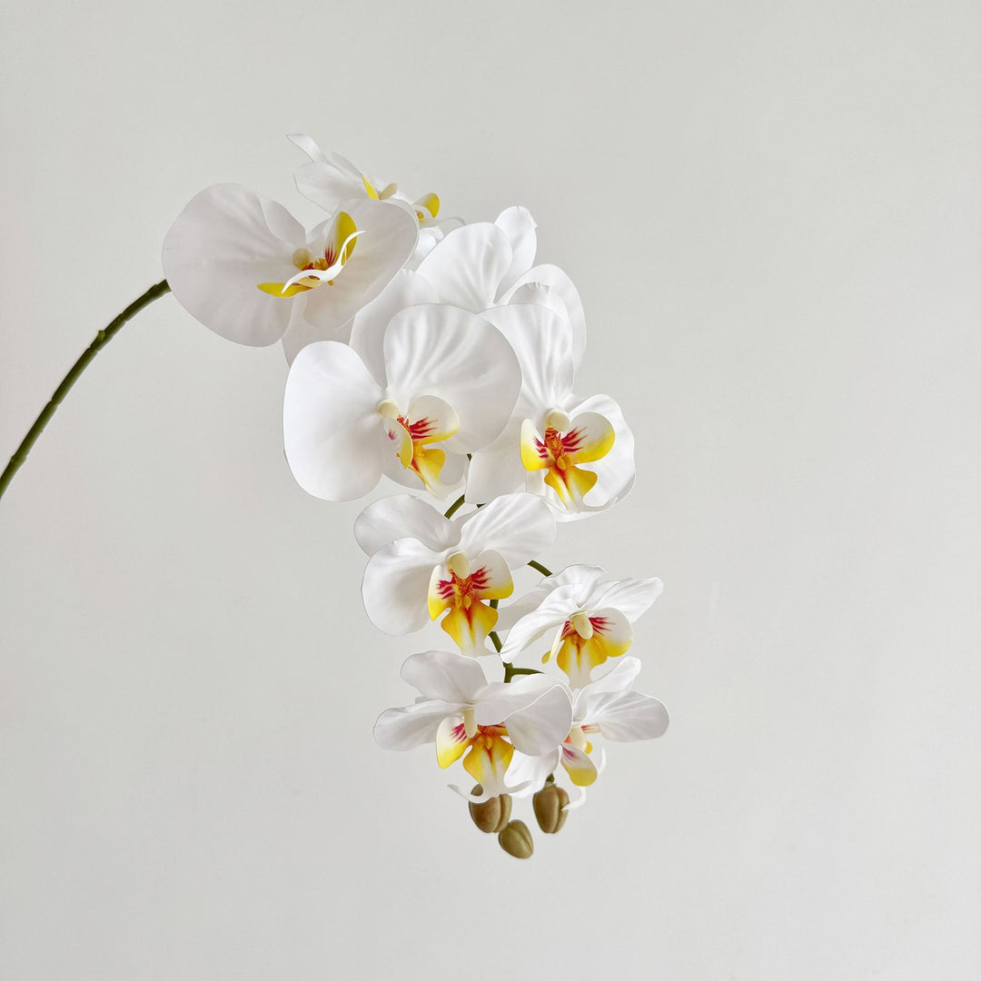 Lifelike Artificial Orchid Arrangement