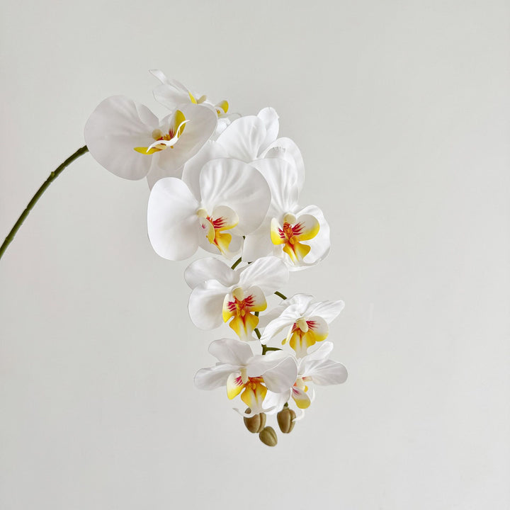 Lifelike Artificial Orchid Arrangement