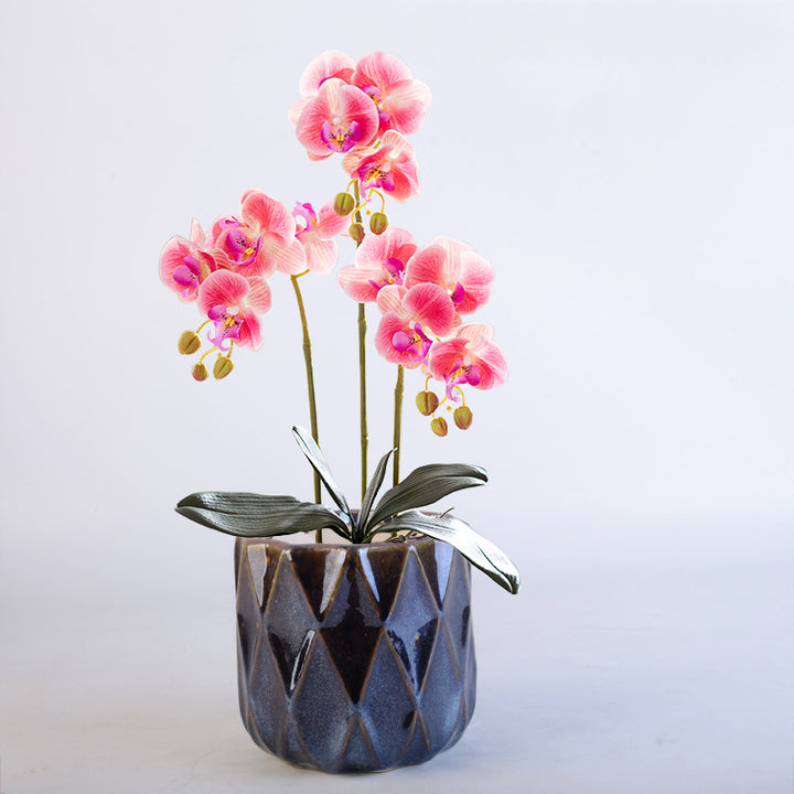 Elegant geometric plant bowl Kalsten