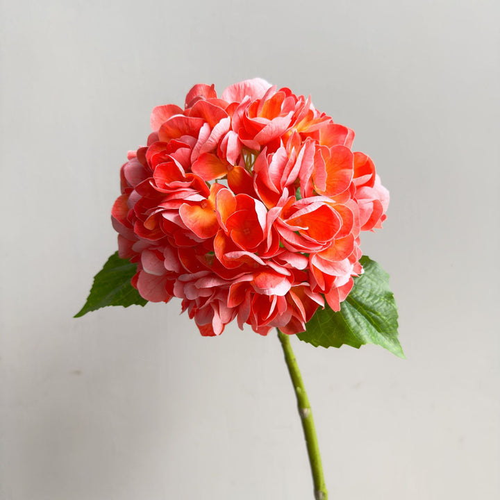 Lifelike Hydrangea Stem