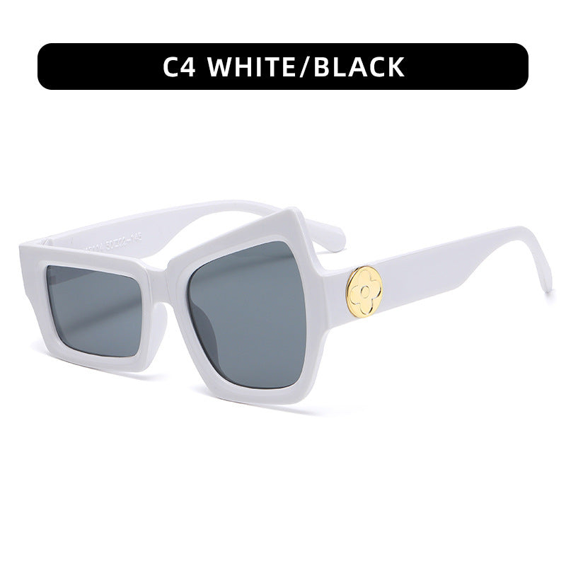 Chunky Geometric Sunglasses