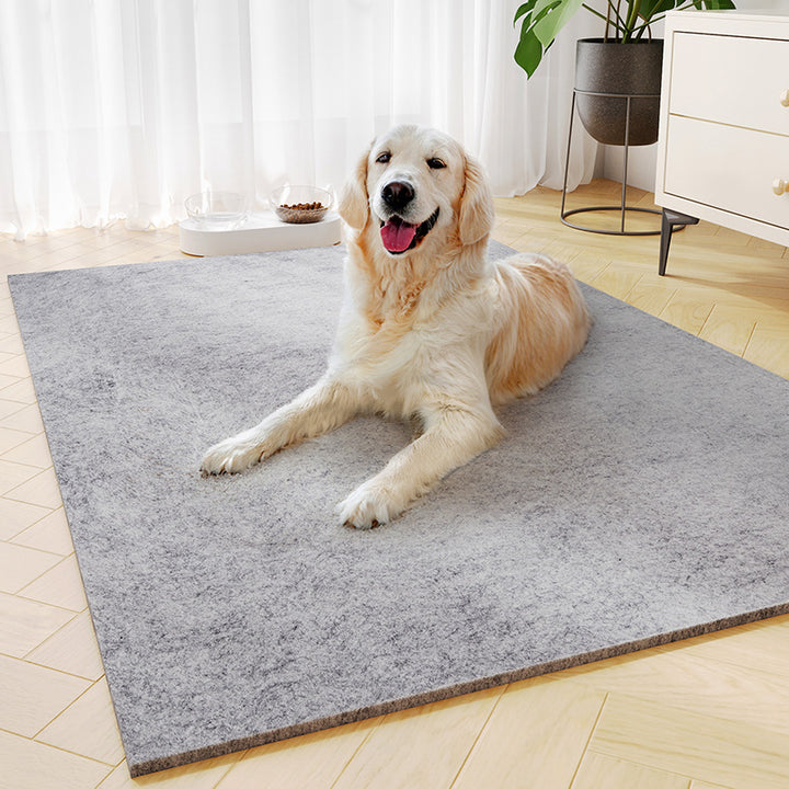 Pet-Themed Comfort Area Mat Kalsten