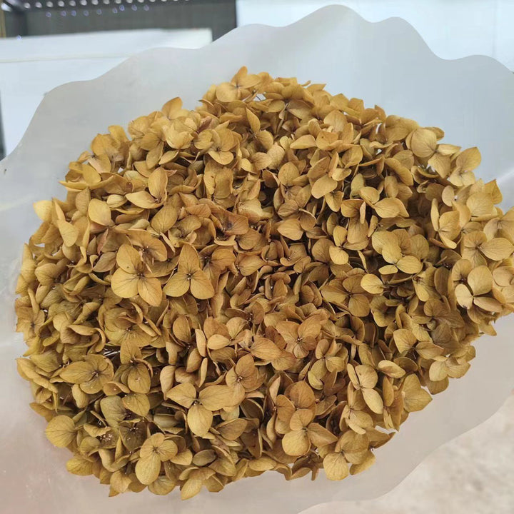Dried Floral Petals