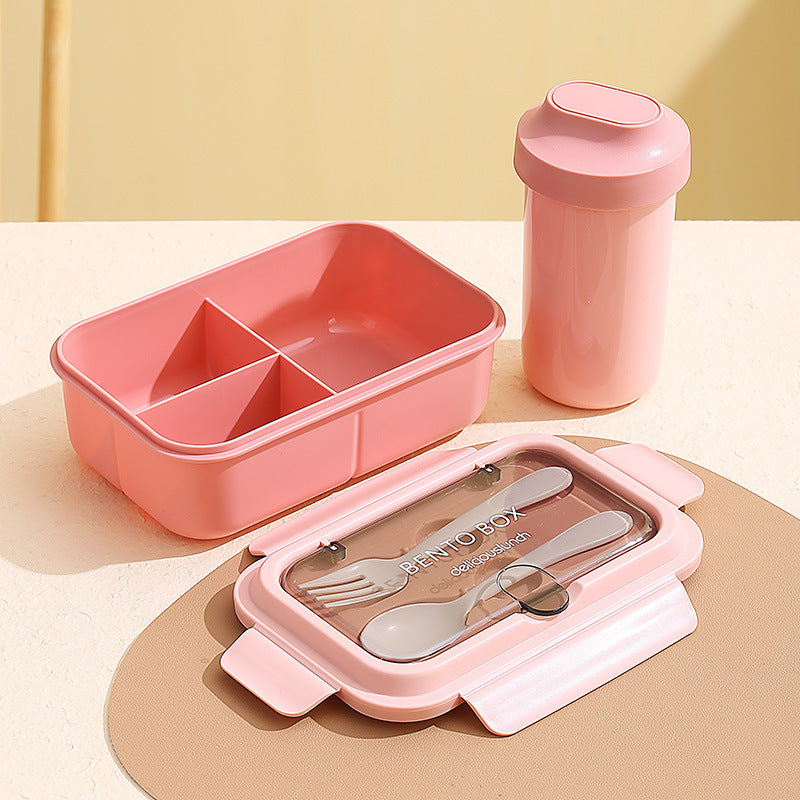 Stylish Multi-Compartment Bento Box