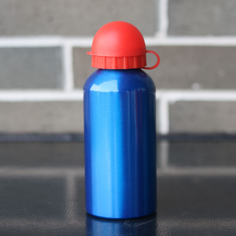 Insulated Stainless Steel Water Bottle Kalsten