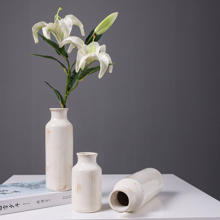 Modern Minimalist Ceramic Vase