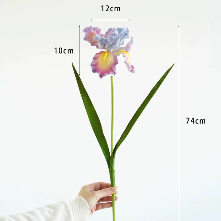 Decorative Iris Flower Stem