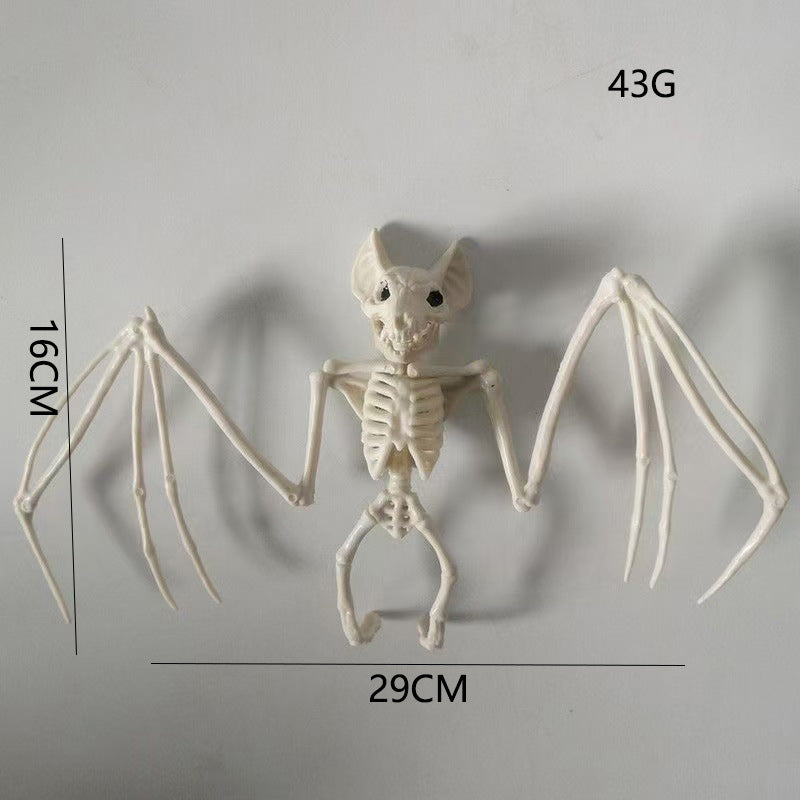 Anatomical Model
