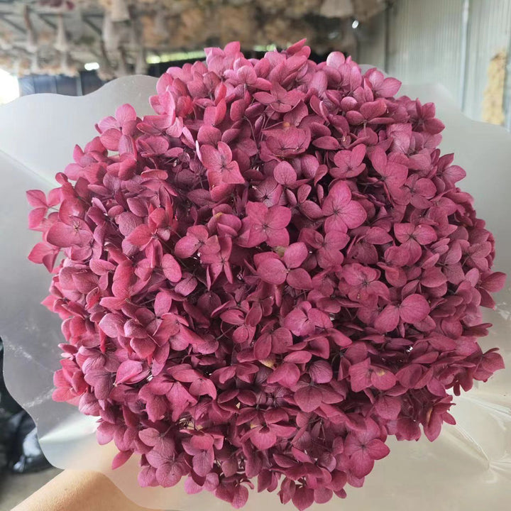 Dried Floral Petals