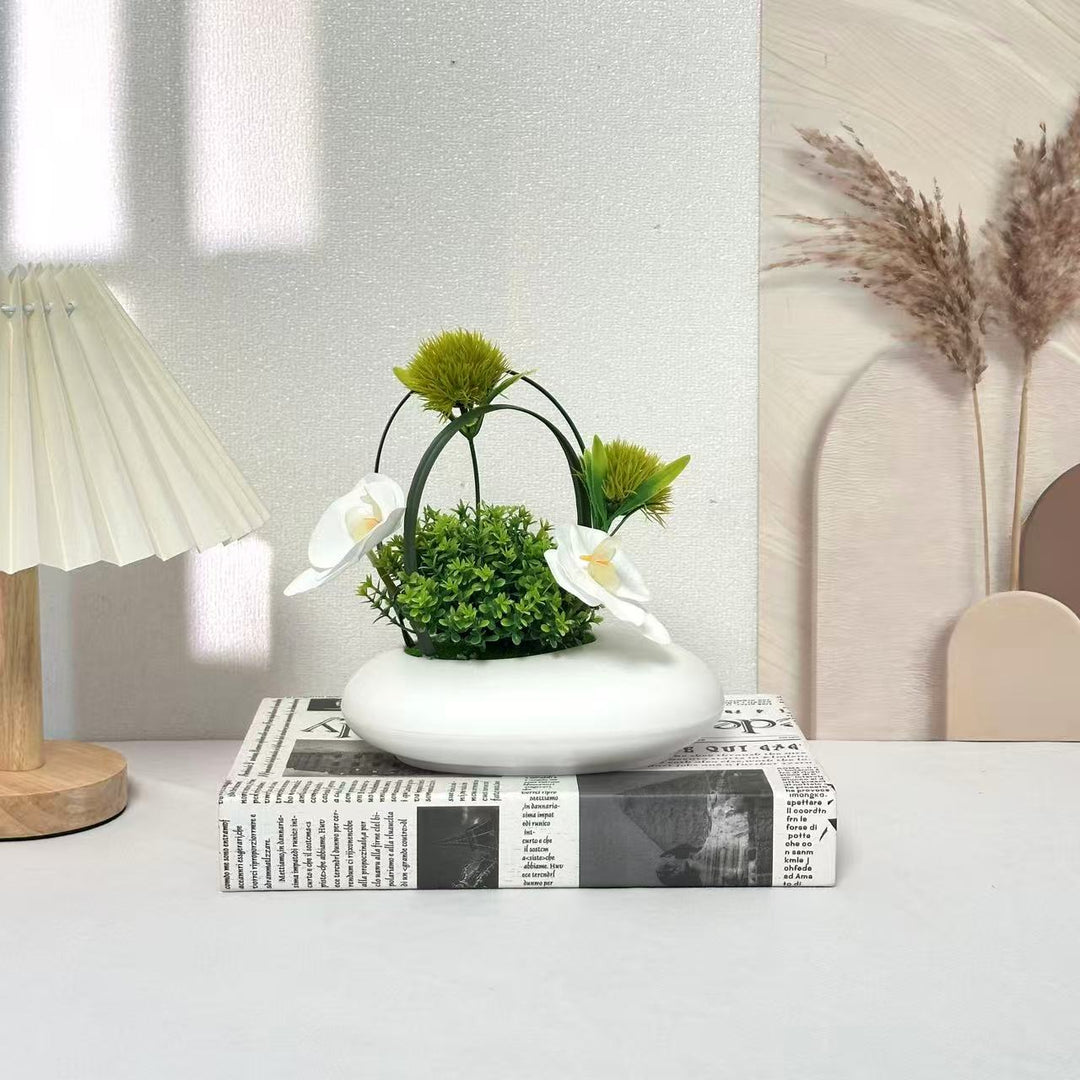 Home Decor Decorative Accent for Indoor Display and Styling