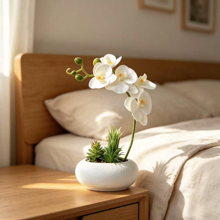 Elegant Orchid and Succulent Planter