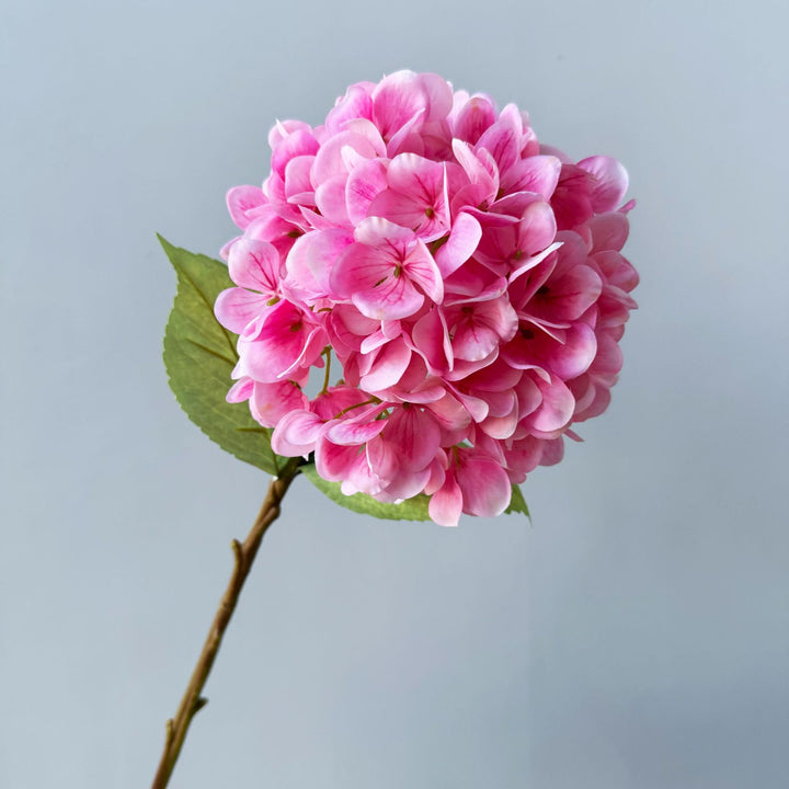 Floral Decorative