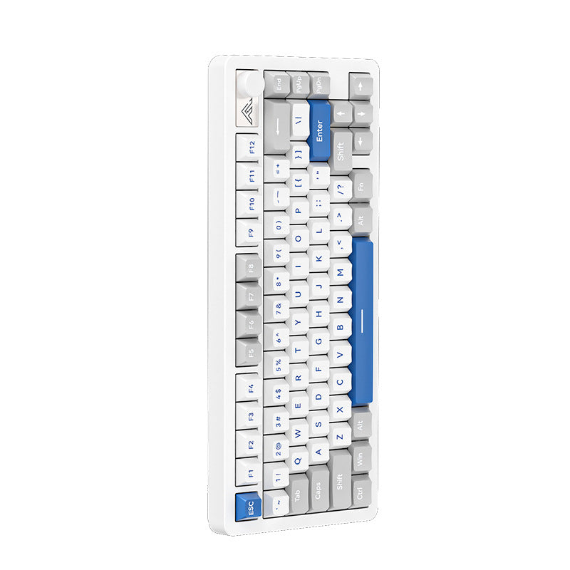 Compact Ergonomic Mechanical Keyboard Kalsten