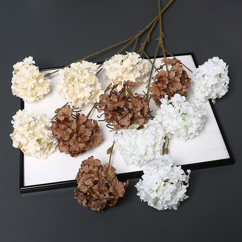 Decorative Dried Floral Stem for Home Decor