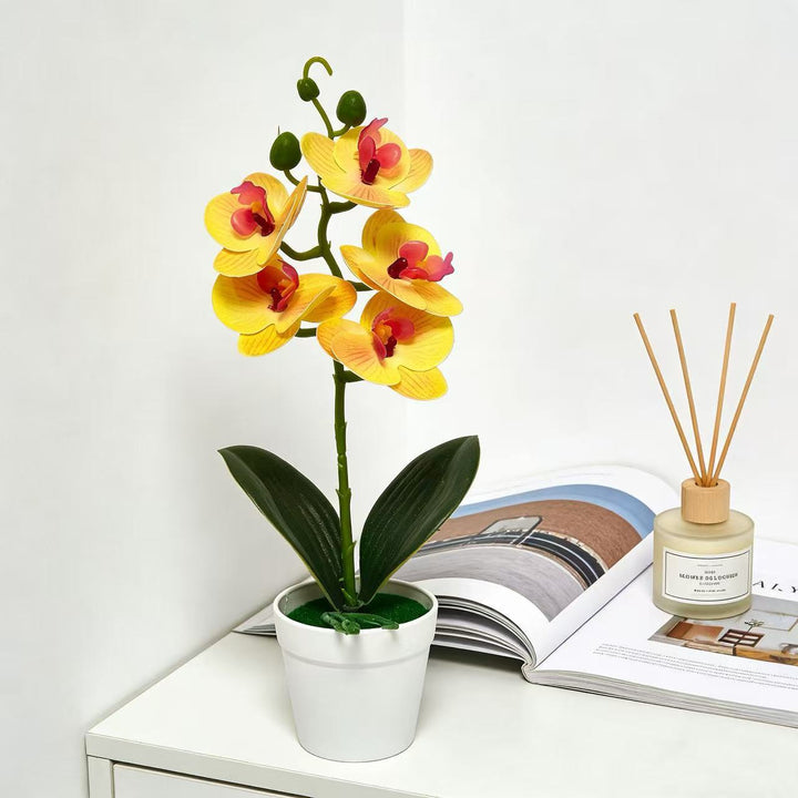 Decorative Artificial Orchid for Home Decor Display