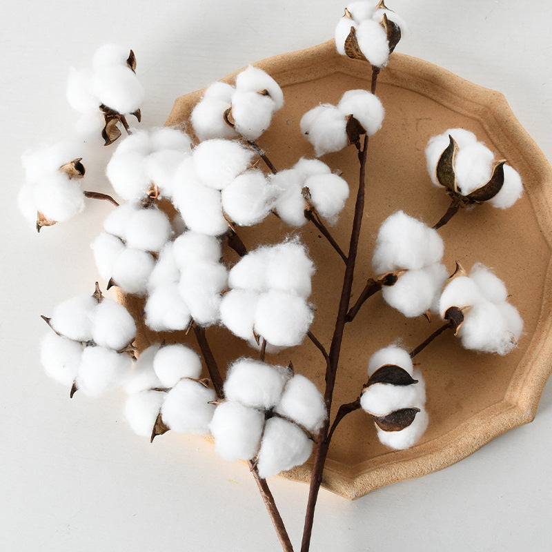 Decorative Cotton Branch Arrangement
