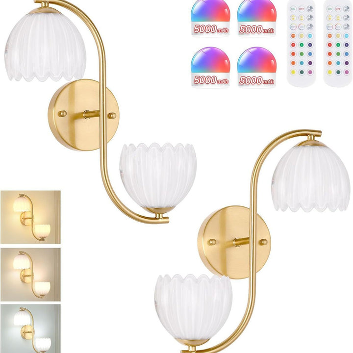 Decorative Wall Sconce