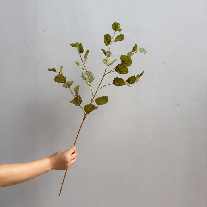 Elegant Decorative Eucalyptus Branch