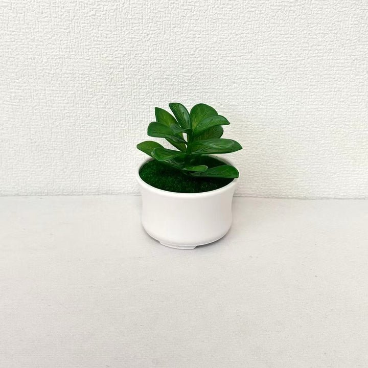 Lifelike Succulent Plant Arrangement