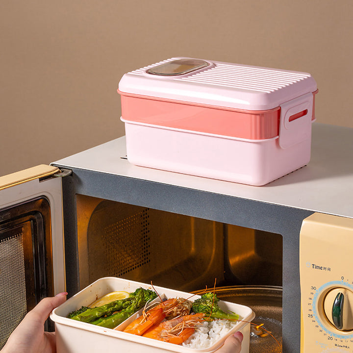 Multi-Sectional Food Storage Container with Secure Lid